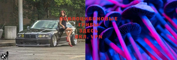 дмт Абаза