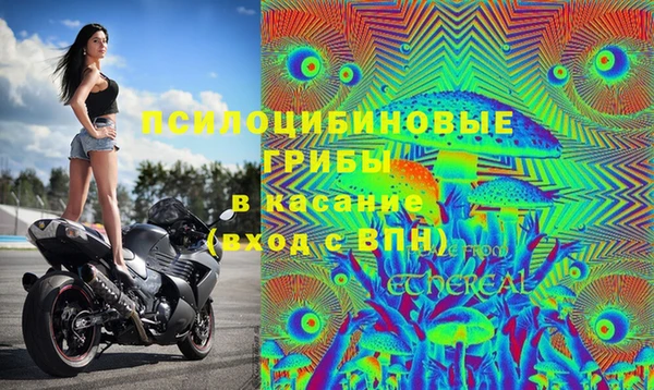 метадон Нея